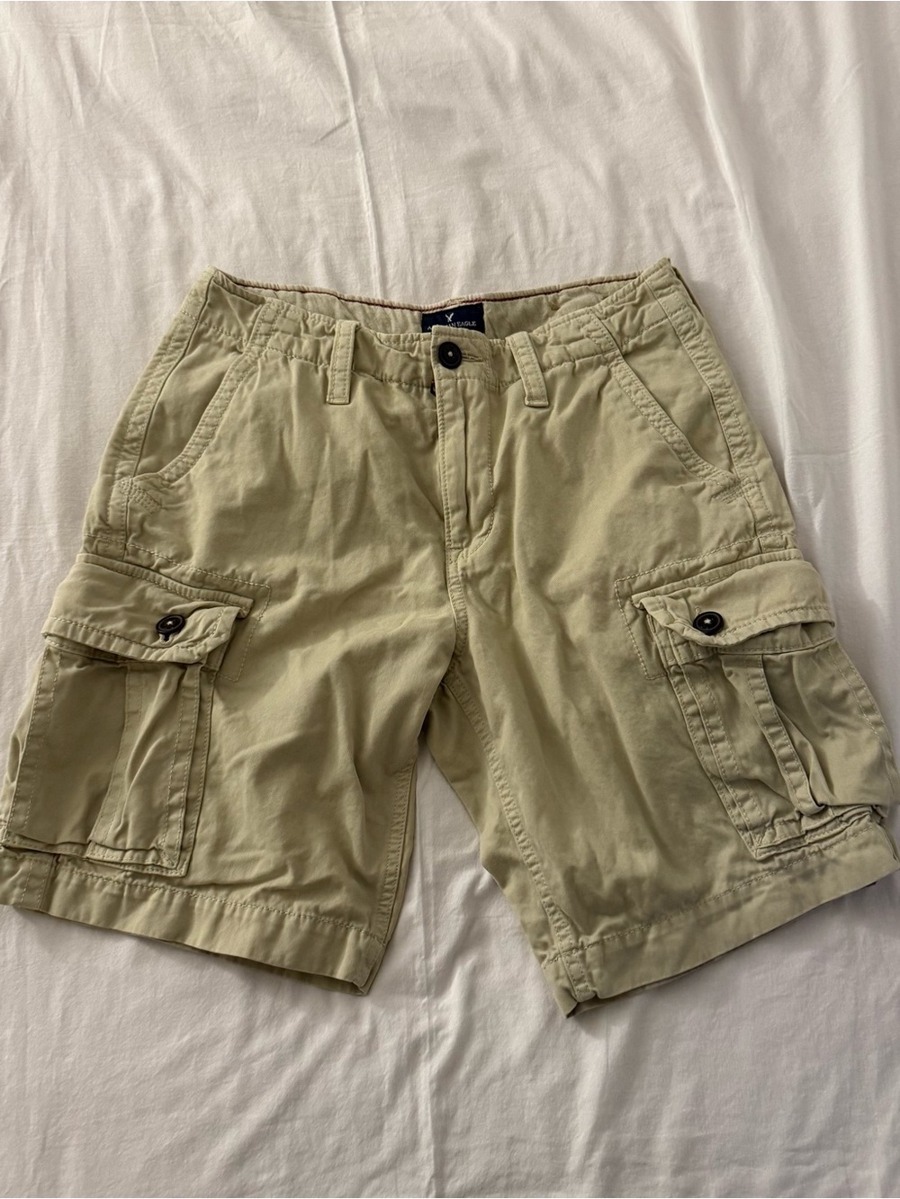 Y2K 2014 American Eagle men's cargo shorts size 30